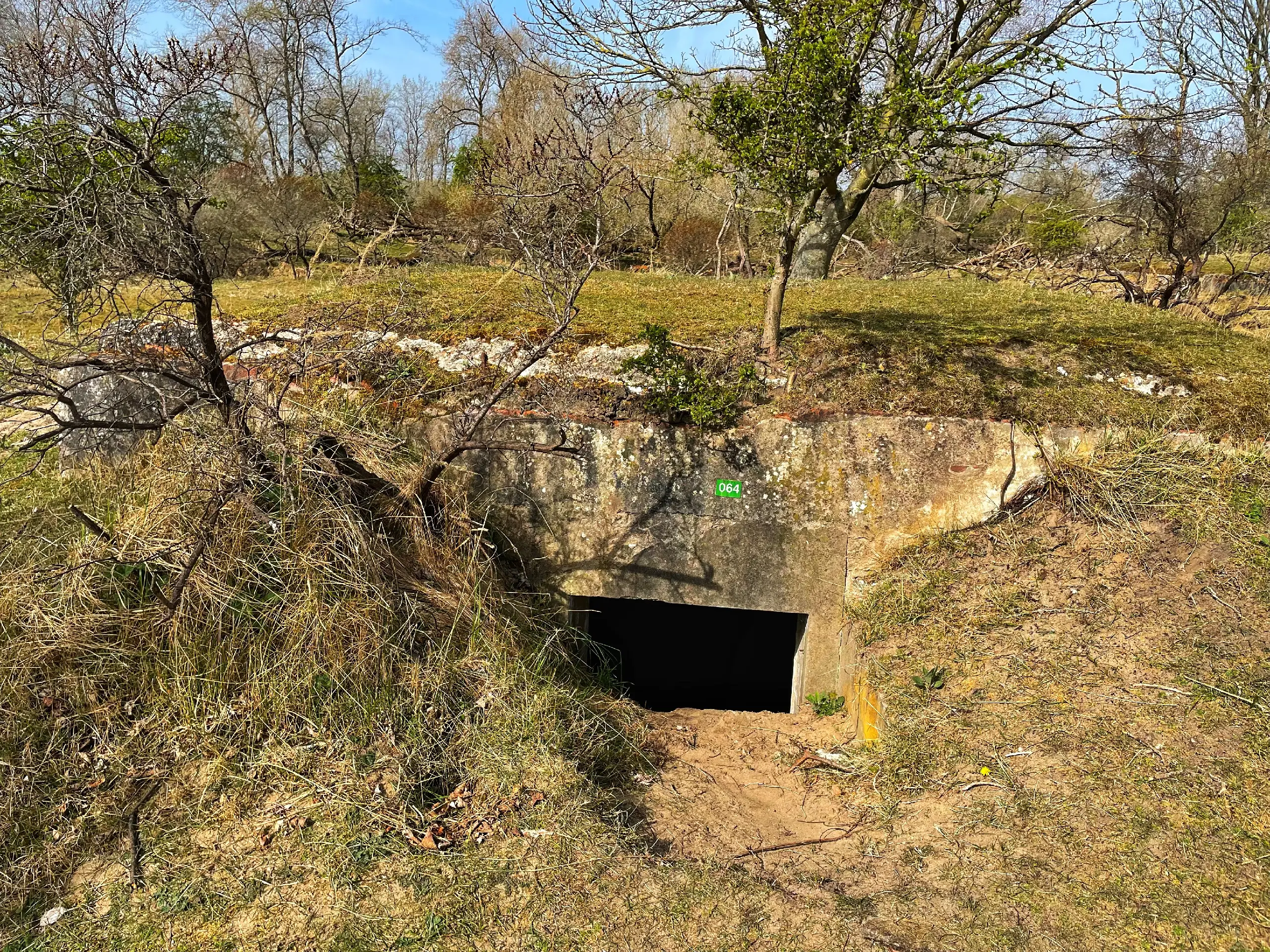 Bunker in de Amsterdamse Waterleidingduinen.