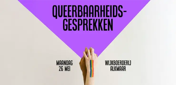 Queerbaarheidsgesprekken