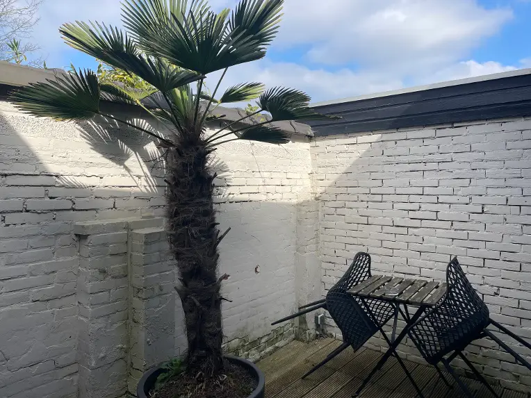 Boutique Suite Barrique