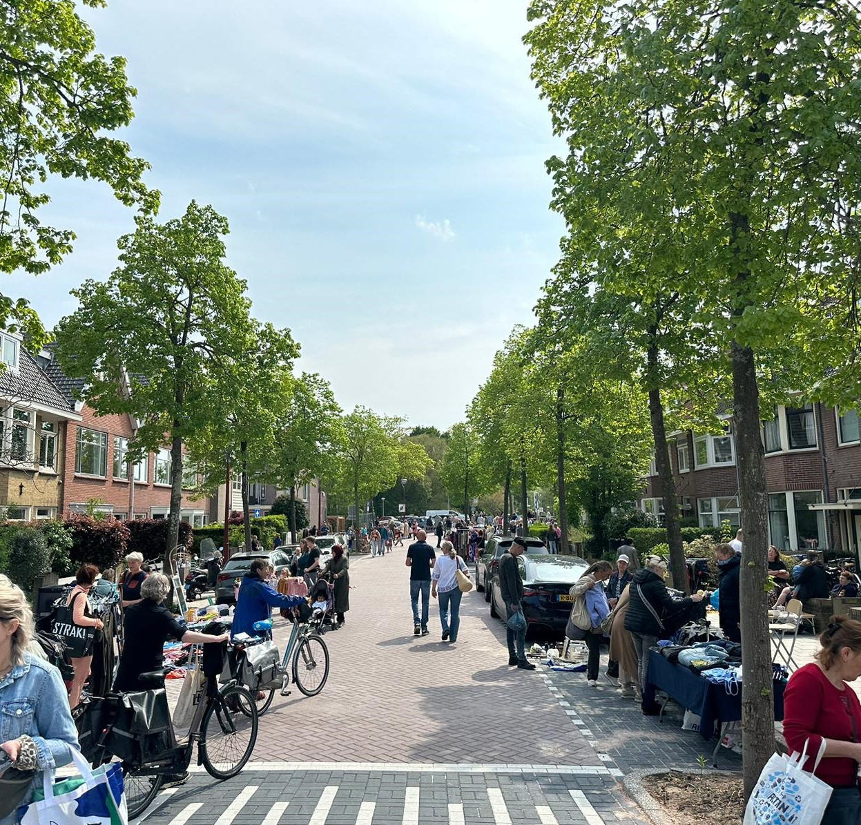 Rommelmarkt Emmakwartier