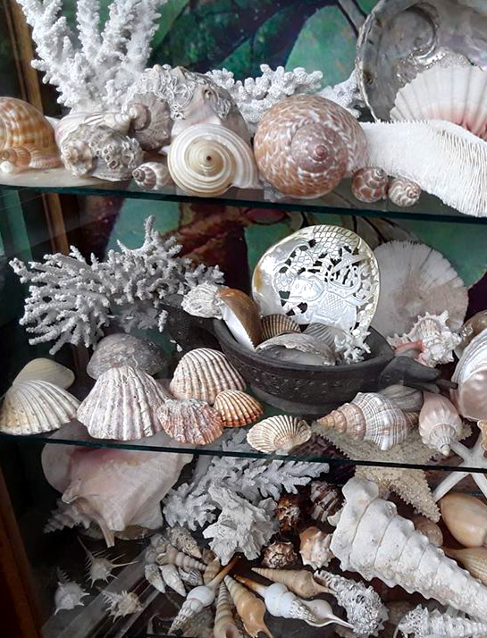 Wunderkammer Verwondering 1601