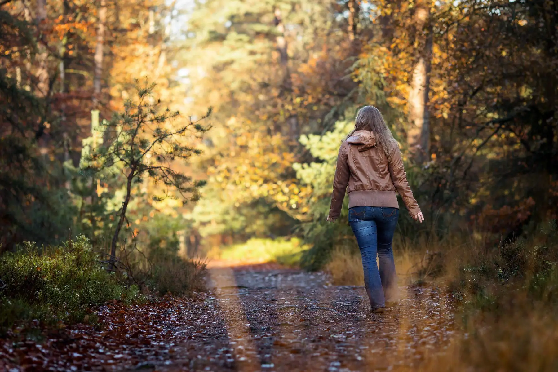 Mind-Walk