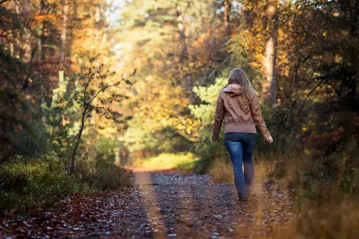 Mind-Walk