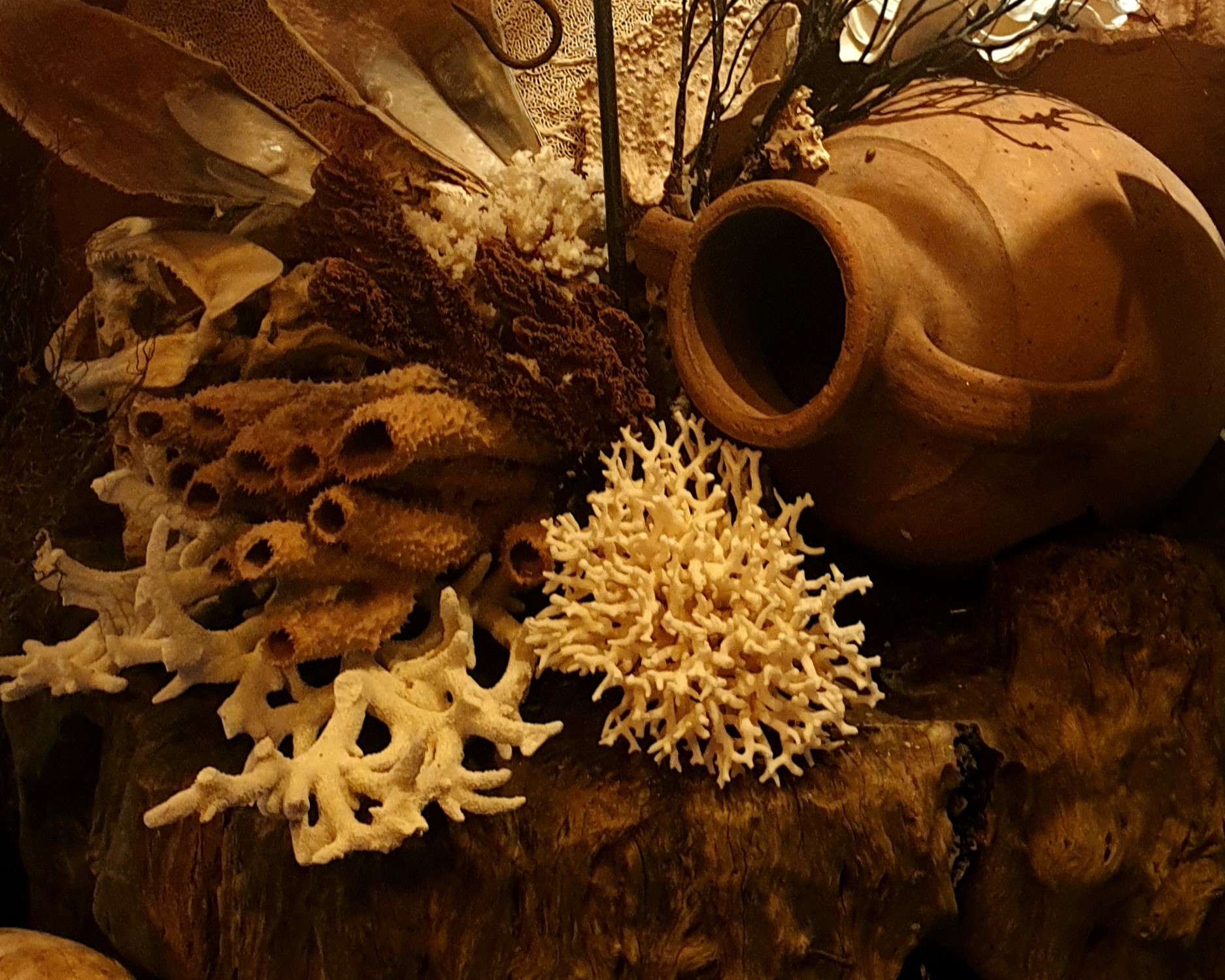 Wunderkammer Verwondering 1601