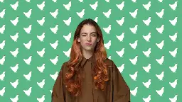 Het Sluwe Vosje