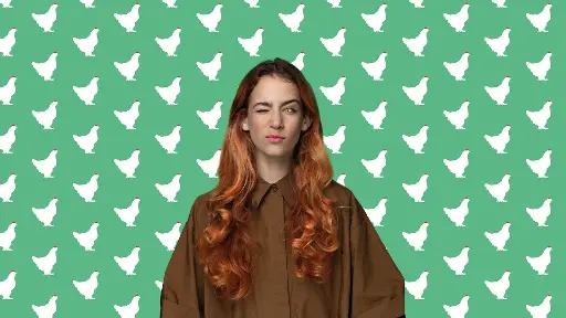 Het Sluwe Vosje