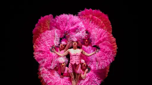 Carnaval der dieren