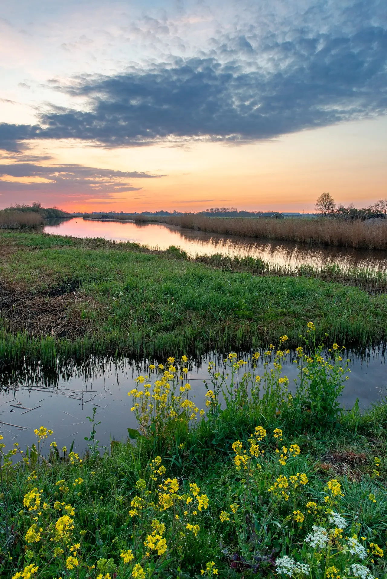 Vaartocht voor 'vroege vogels' door de Eilandspolder