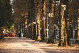Foto-expositie ‘Apeldoornse cultuur krijgt een gezicht’