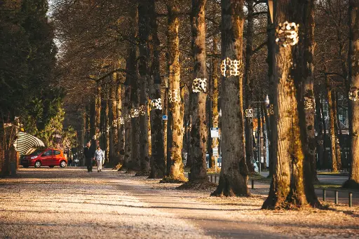 Foto-expositie ‘Apeldoornse cultuur krijgt een gezicht’