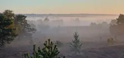 Ontwaken in het wilde hart van Nederland