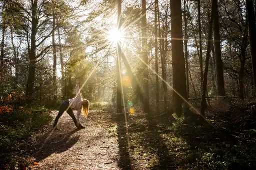 Ontpannen in het bos met yoga nidra