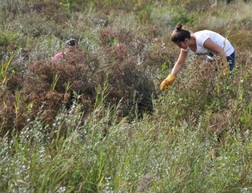 Werken in het bos, boswachter voor een halve dag