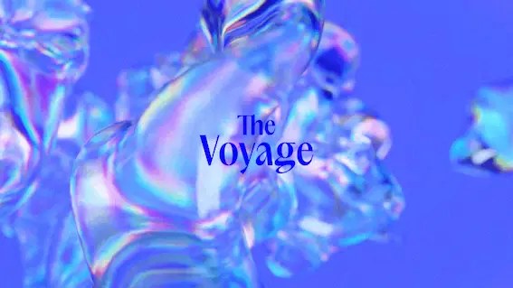The Voyage X De Weide