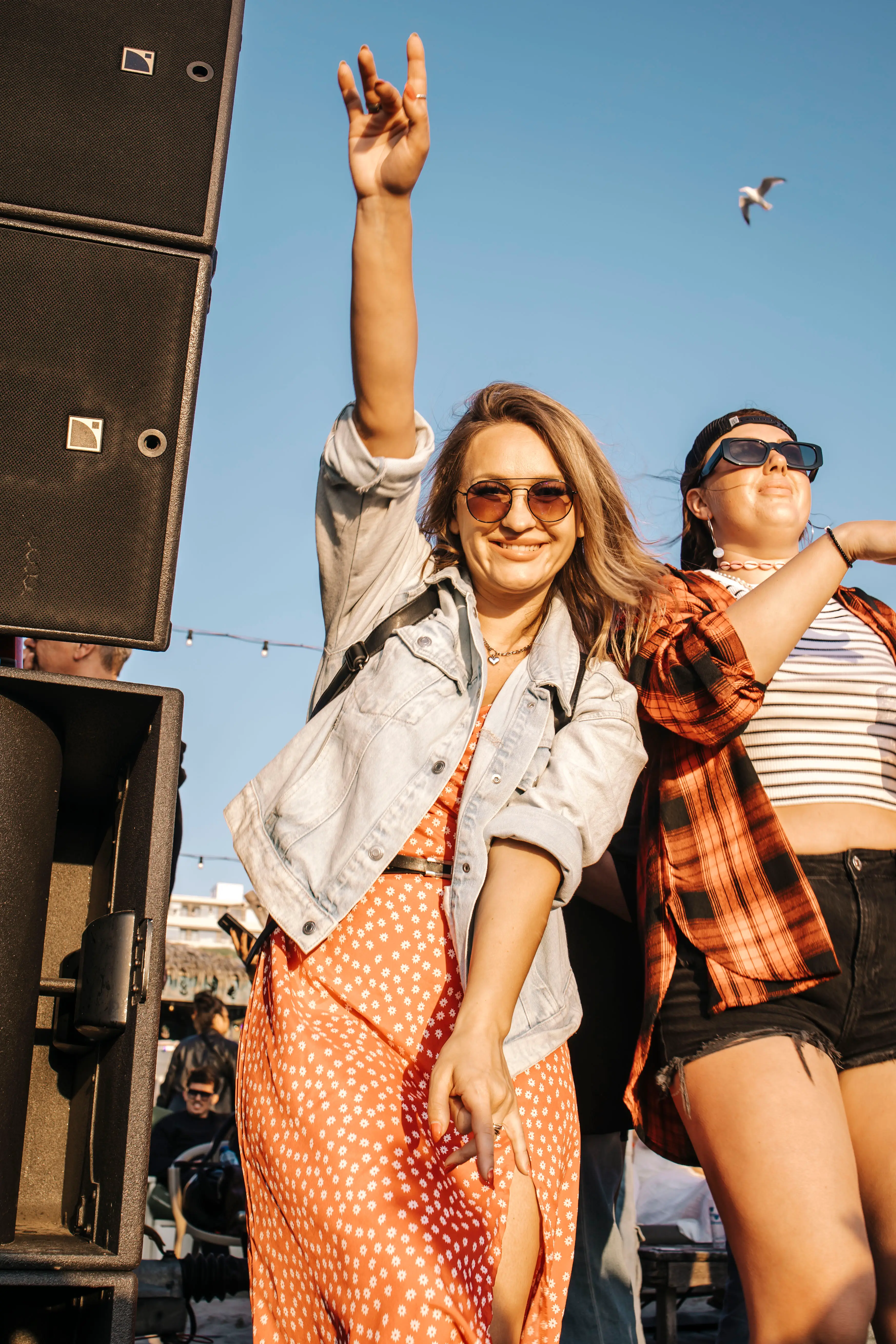 Zandvoort Alive