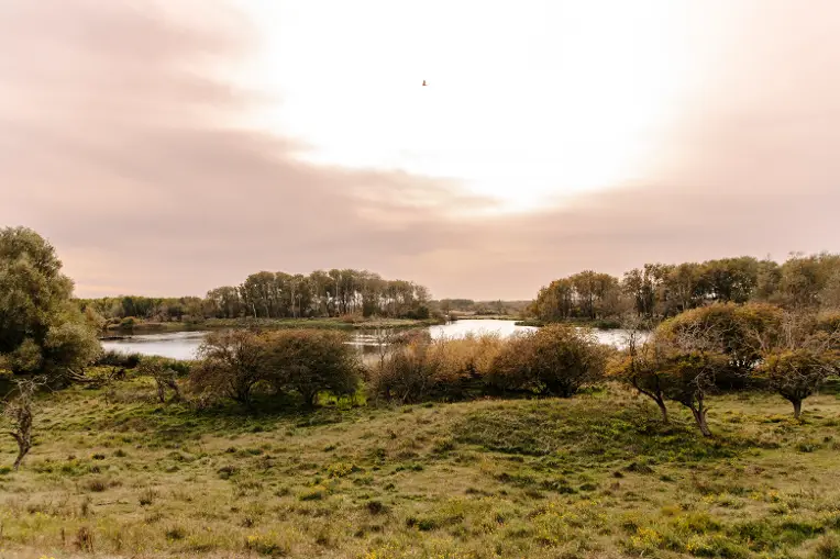 Amsterdamse Waterleidingduinen