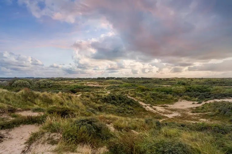 Amsterdamse Waterleidingduinen