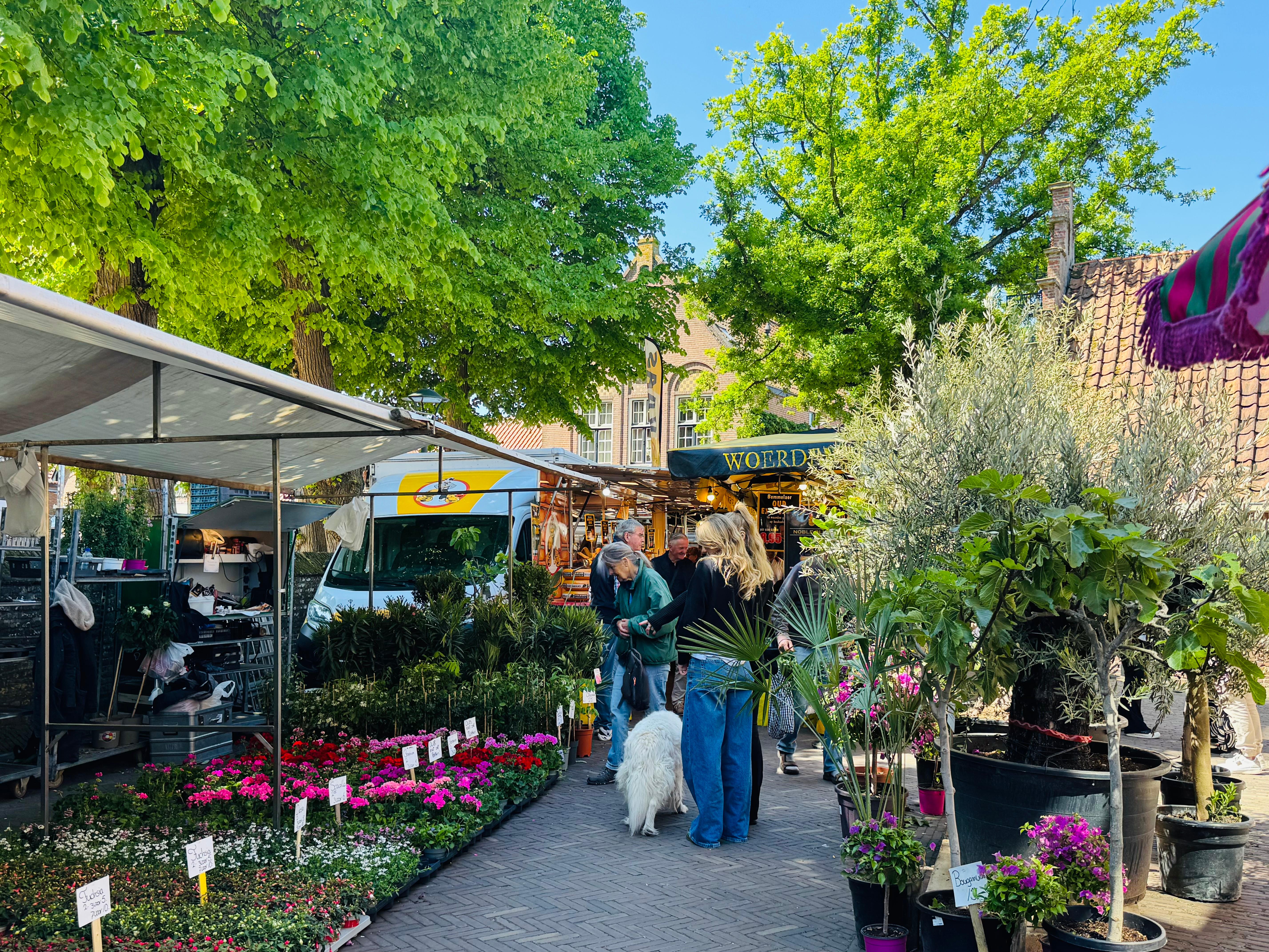 Zaterdagmarkt