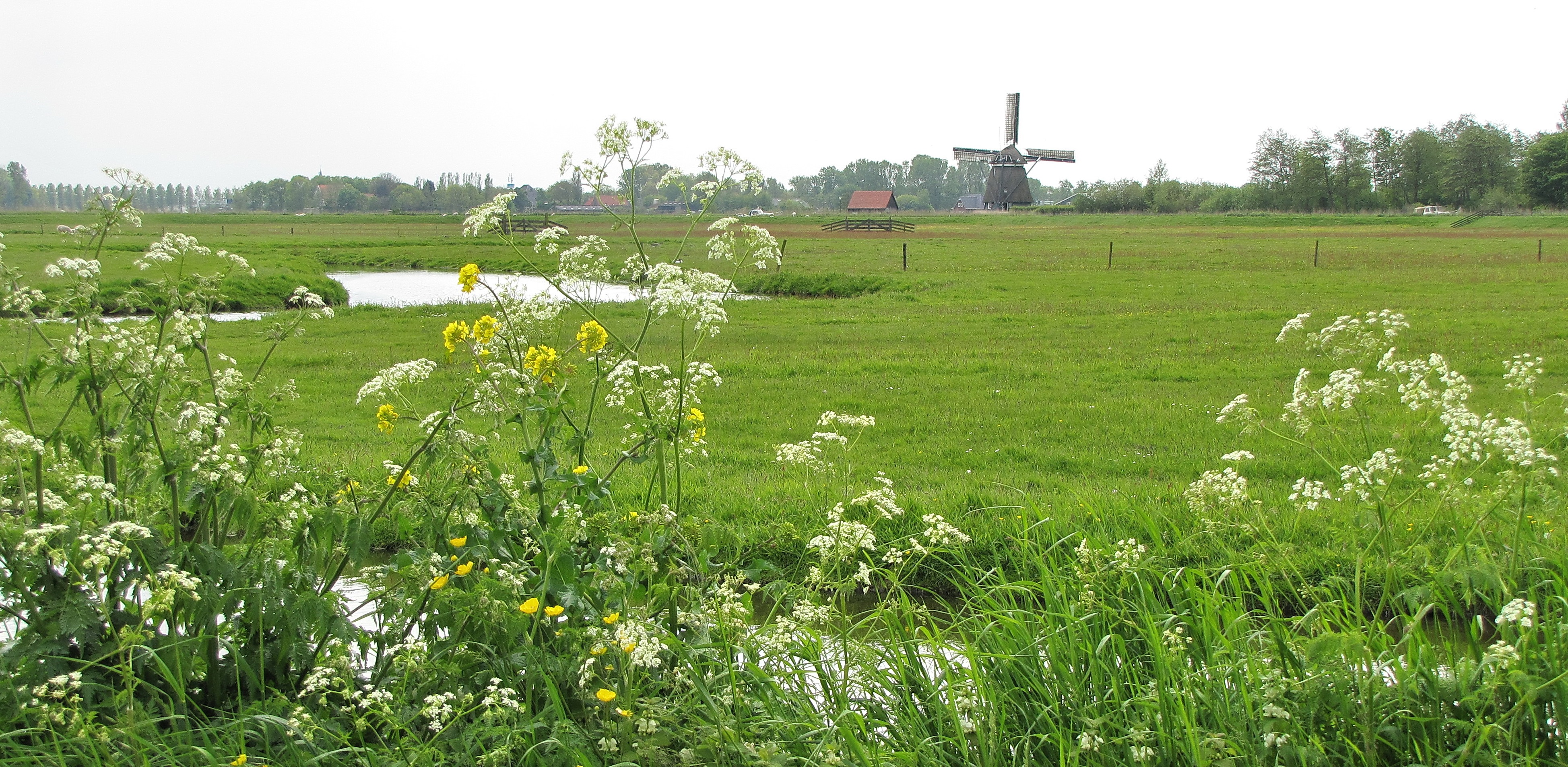 Op pad door de Hempolder