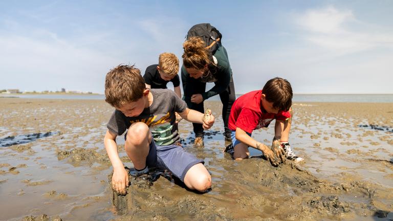 Excursie: Wat is er te vinden op het Wad?