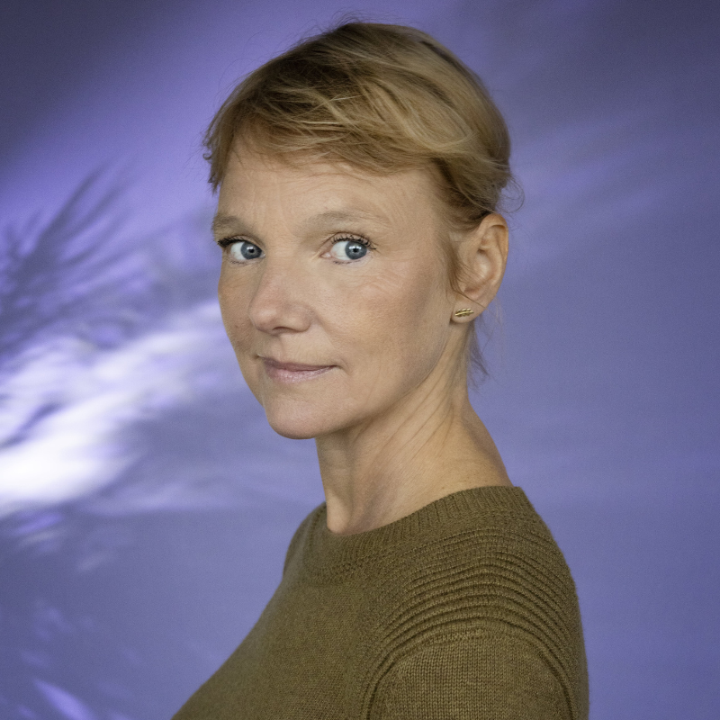 Laura van Dolron - De zachte waarheid