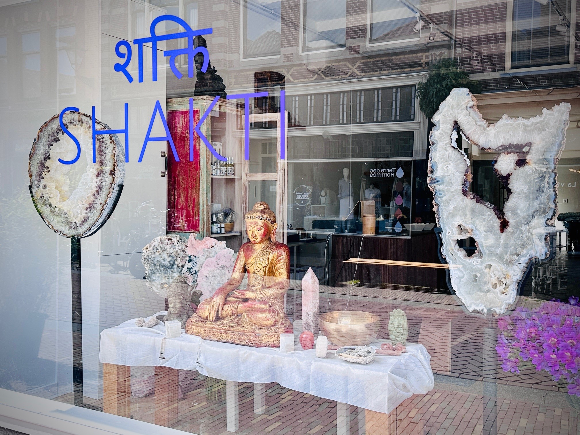 Shakti