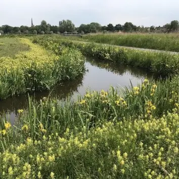 Flora excursie