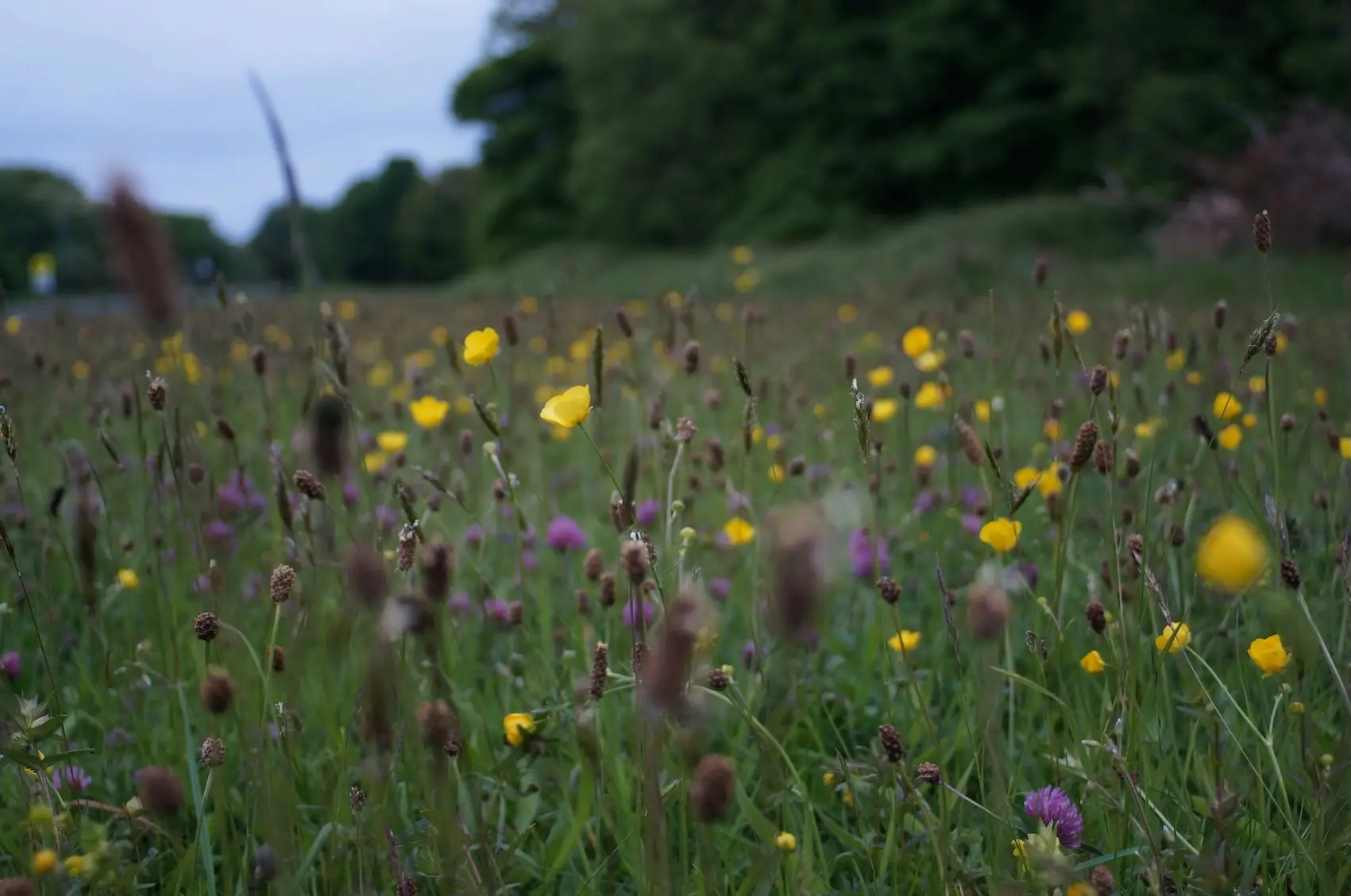 Excursie over biodiversiteit