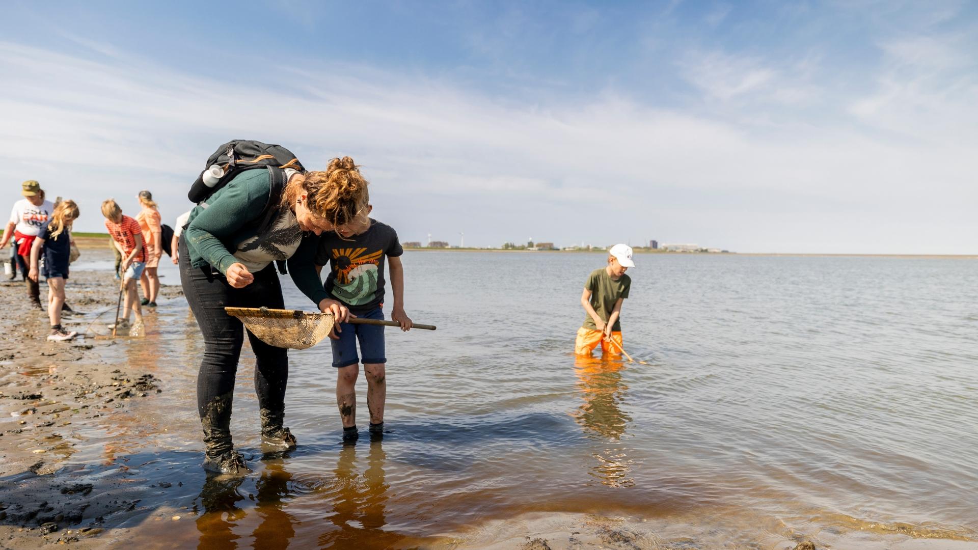 Wadexcursie: Start je weekend op het Wad