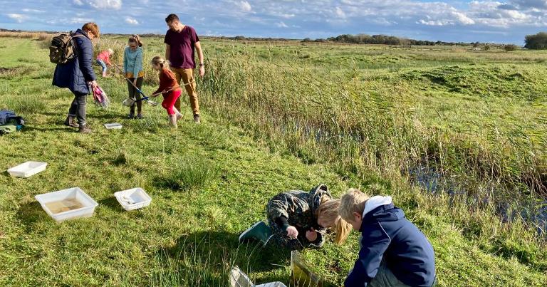 Waterbeestjes zoeken met de boswachters van het Zwanenwater – OERRR
