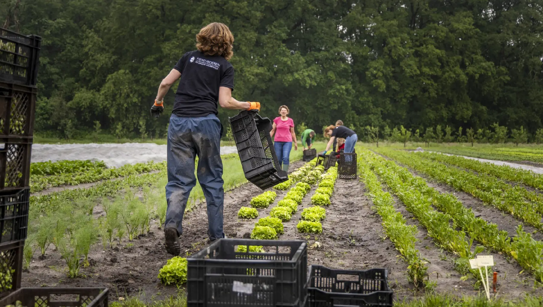 Herenboerderij de Groote Modderkolk