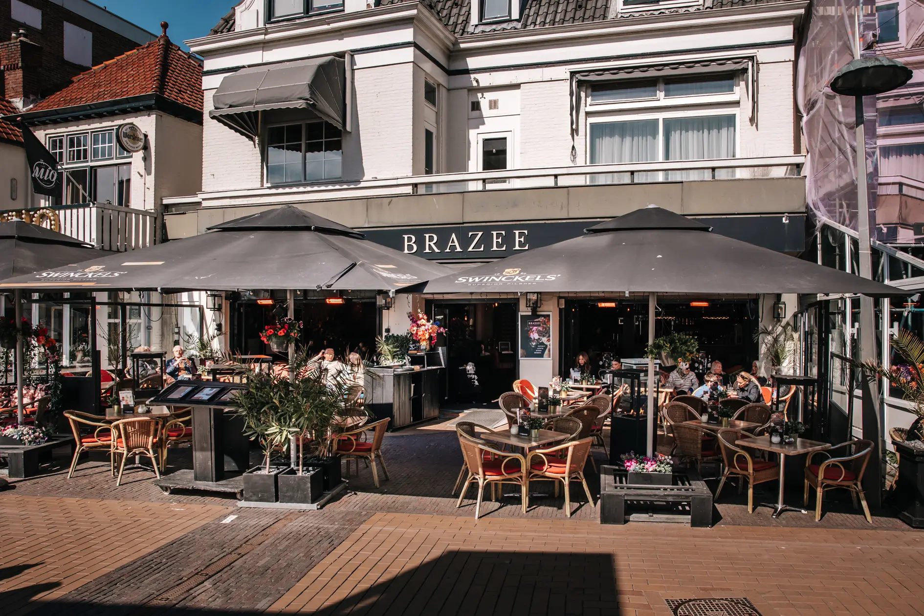 Brazee terras