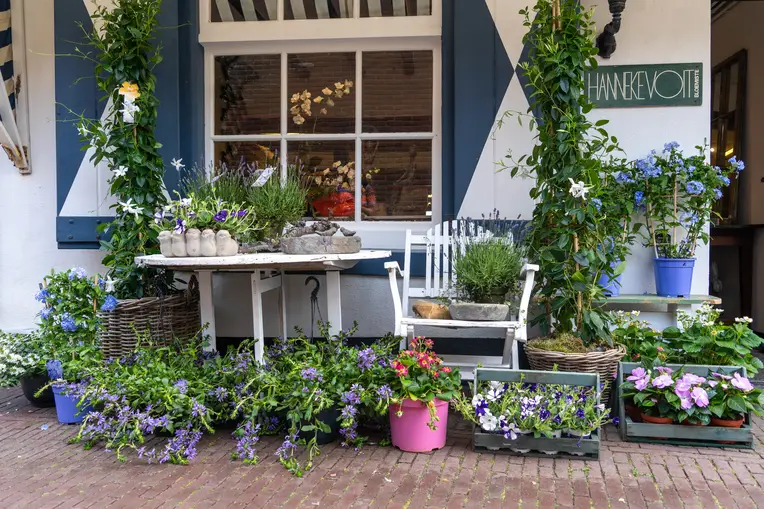 Hanneke Voit Bloemiste