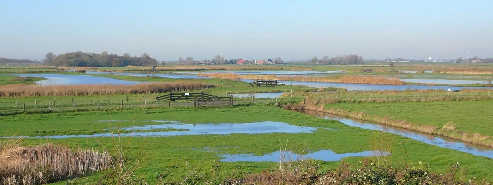 Vaar naar moerasland en trilveen in de Eilandspolder