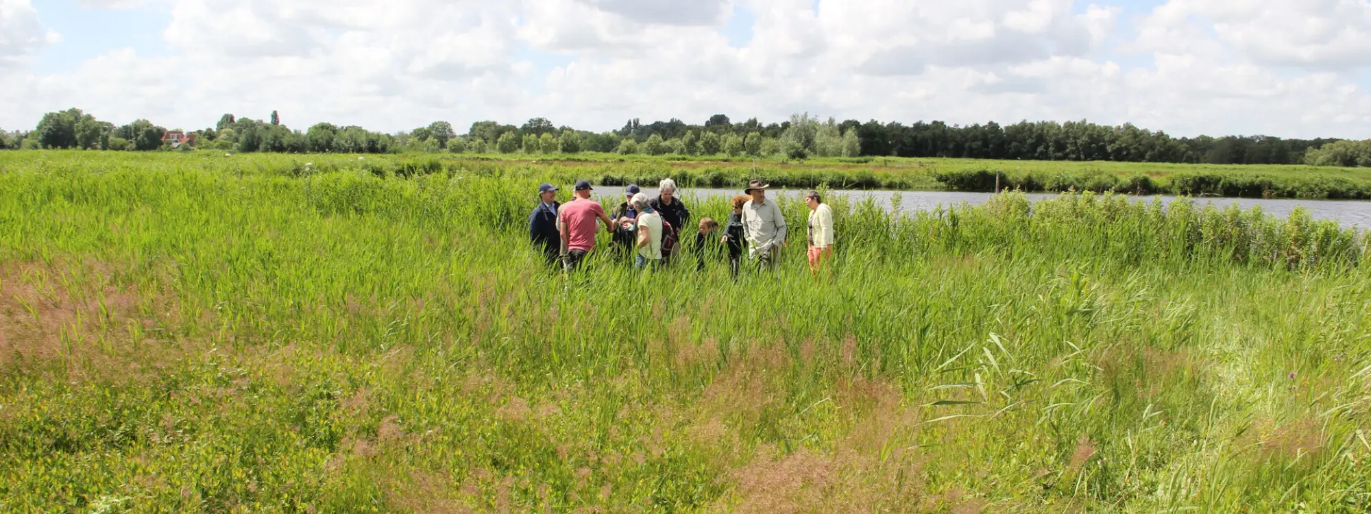 Eetbare planten en andere bruikbare natuur in de Eilandspolder