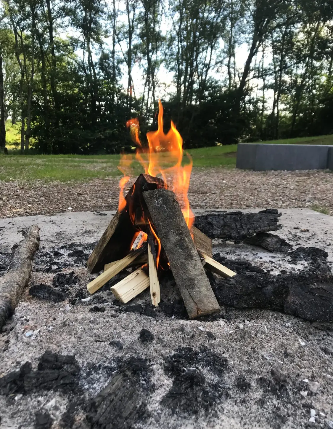 VerwonderTijd, een dagworkshop in de natuur!