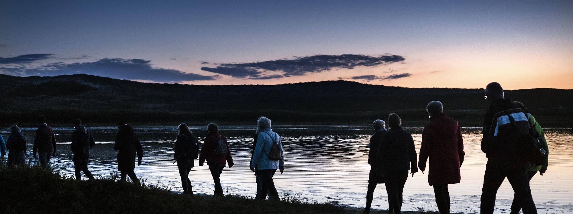 Stiltewandeling door het PWN-duin