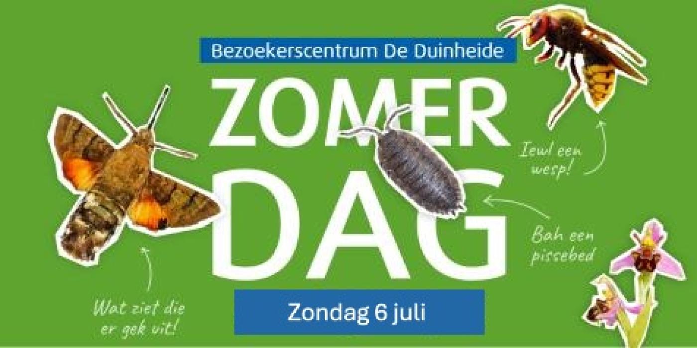 Zomerdag