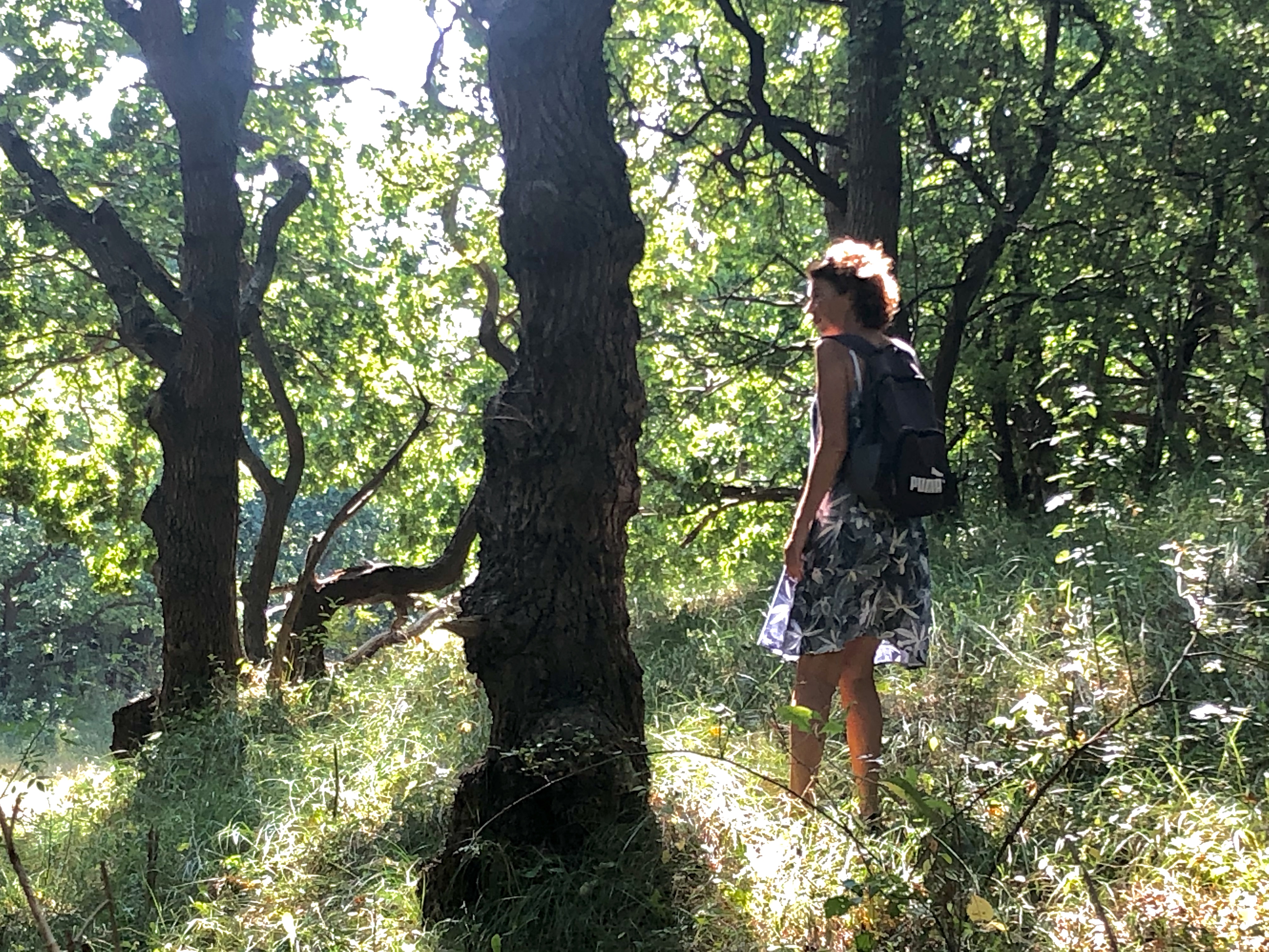Lichtvoetig door het bos, zintuigenwandeling