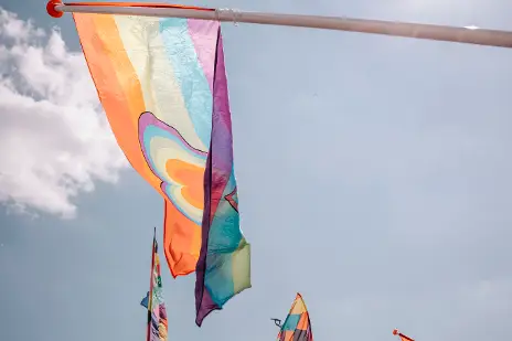 Regenboogvlag