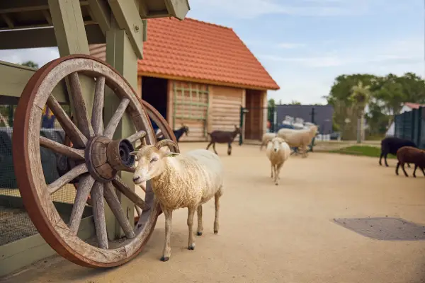 kinderboerderij