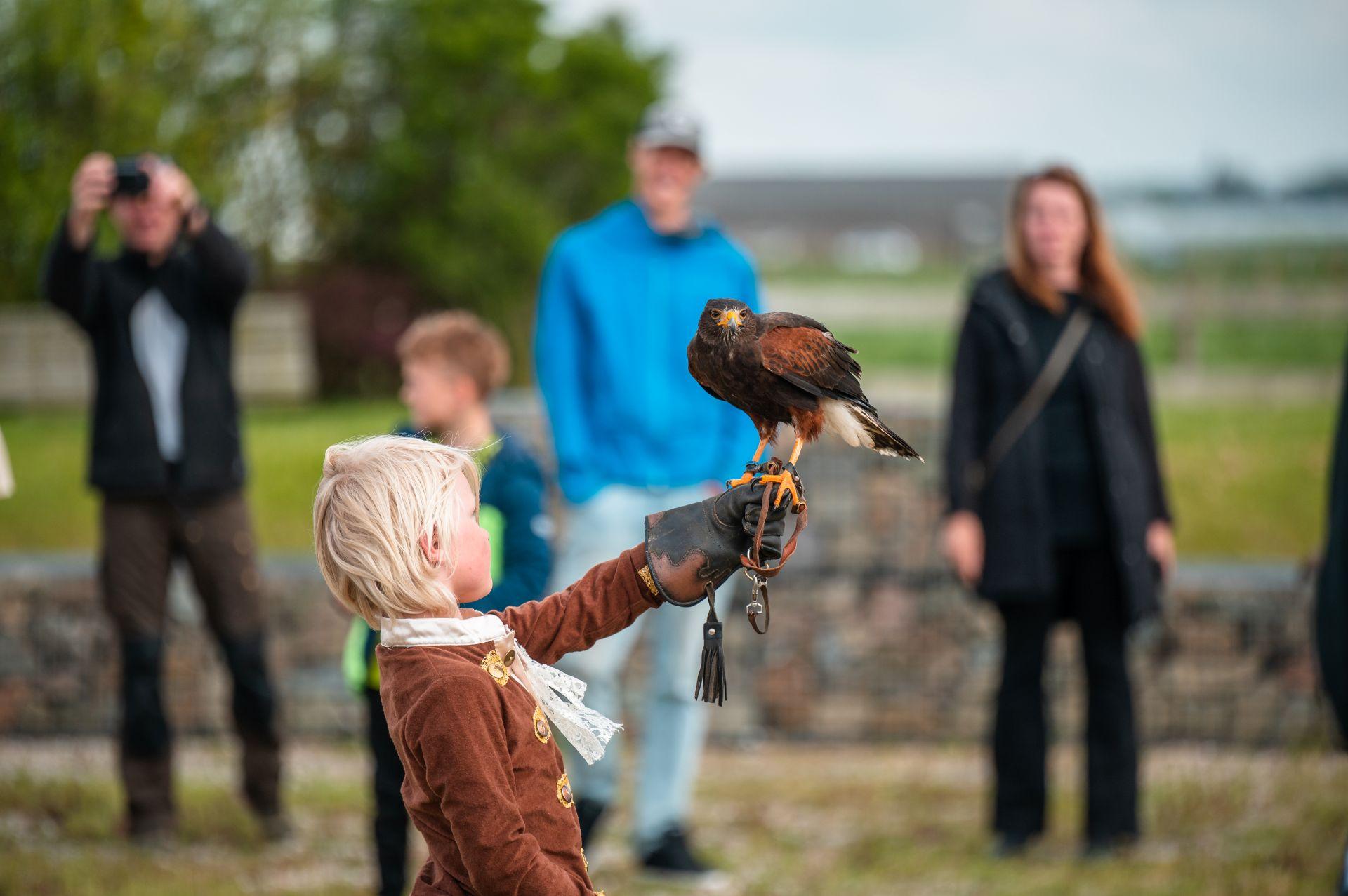 Summer program at the Ruins of Nuwendoorn