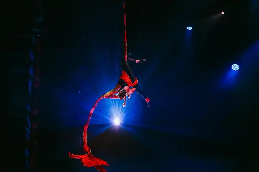 Orpheus Openingsshow