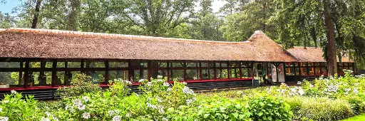 Tentoonstelling Theehuis