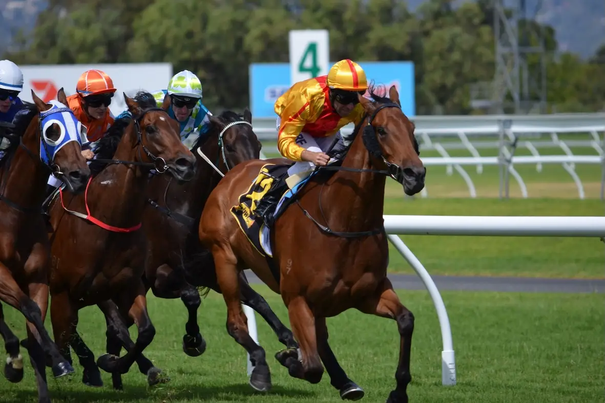 Friday Festival Races by Container Box