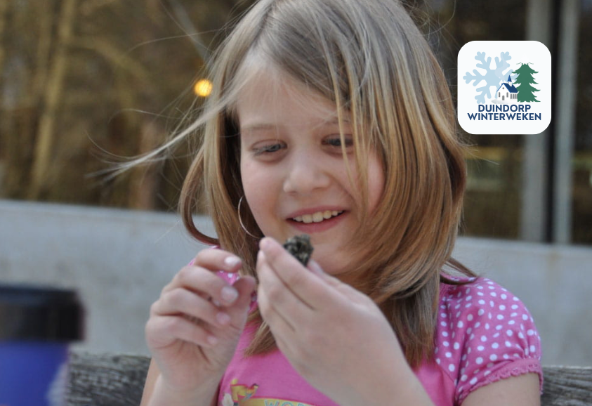 Uilenbal pluizen in de Schoorlse Duinen