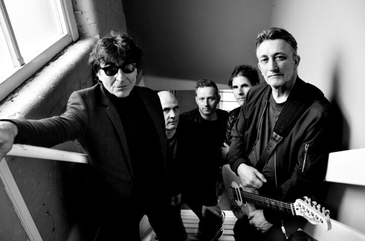 The Chameleons