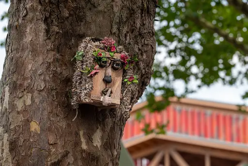Inwonersexpositie : Boomgezichten