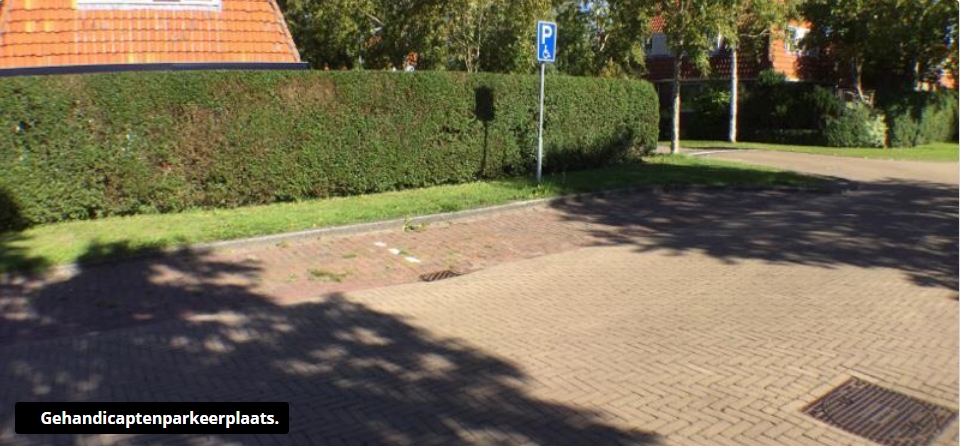 Gehandicaptenparkeerplaats Kogendijk