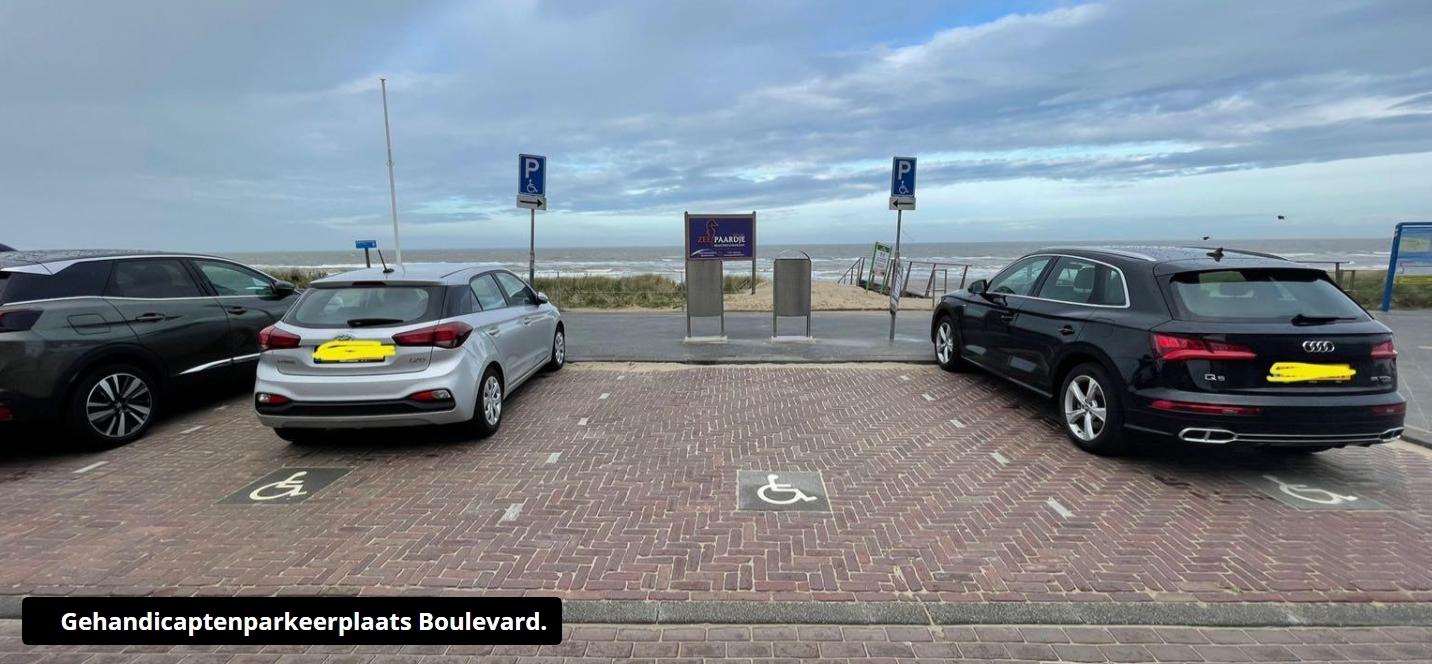 Gehandicaptenparkeerplaats Boulevard 